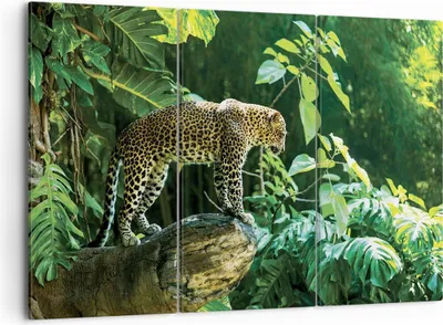 Produktbild von Bild auf Leinwand - Leinwandbild - 3 Teile - Dschungel Leopard Panther - 105x70cm - Wand Bild - Wanddeko - Wandbilder - Leinwanddruck - Bilder - Wanddekoration - Leinwand bilder - CE105x70-4502