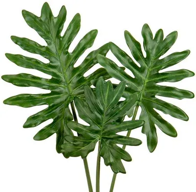 Produktbild von Künstliche Monstera-Pflanzen-Set für Boho-Dekoration