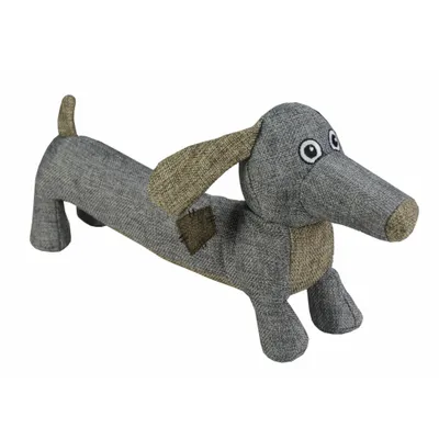 Image de Chien de campagne Buddy