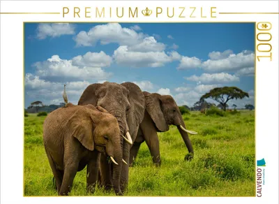 Produktbild von CALVENDO Puzzle Elefanten | 1000 Teile Lege-Größe 64x48cm Foto-Puzzle für glückliche Stunden