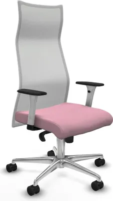 Obrázek produktu pro Bürostuhl Piqueras y Crespo B1B086N růžová