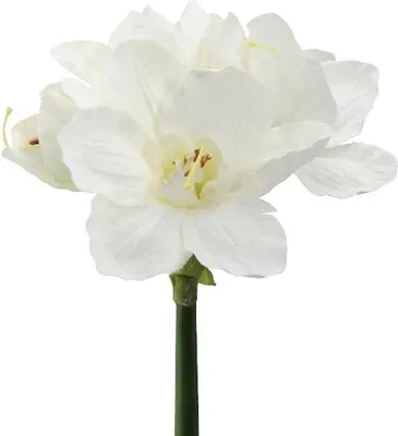 Produktbild von artplants.de Deko Blume Amaryllis WELBA, weiß, 65cm - Künstliche Amaryllis