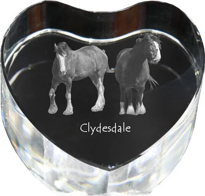 Obrázok produktu pre Clydesdale - fotografia koňa v kryštáli, kryštálové srdce, výnimočný rám so značkou Art-Dog
