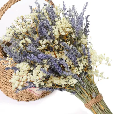 Trockenblumenstrauß Lavendel & Schleierkraut, 40 cm, lila-weiß