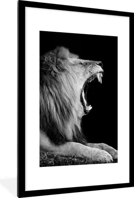 Produktbild von MuchoWow® Gerahmtes Poster Löwe - Wildtiere - Gras - Schwarz - Weiß 60x90 cm - Poster mit Schwarzem Bilderrahmen Wandposter Rahmen Foto Bilder - Dekoration - Wandposter Wohnzimmer - Hochwertig