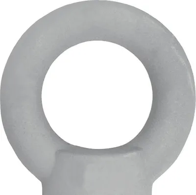 Produktbild von Kleinsorge Ringmutter DIN 582 Gewinde M10 - 67000101
