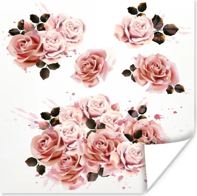 Produktbild von MuchoWow® Poster Rosen - Rosa - Farbe 100x100 cm - Babyzimmer