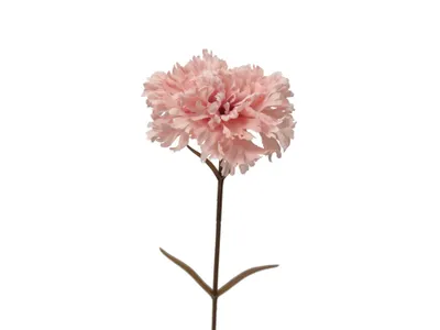 Produktbild von 2474U Kunststielblume Nelke, Künstliche Blume Rosé, 60 cm