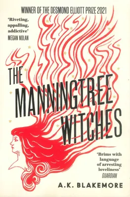 Produktbild von Manningtree Witches