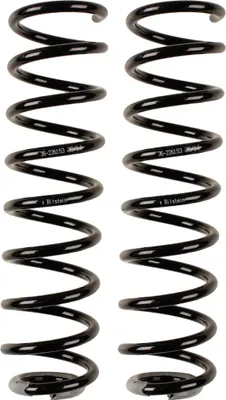 Imagen del producto de Amortiguadores Bilstein B3 delanteros reforzados para Mercedes Clase E (W211, S211) con suspensión estándar