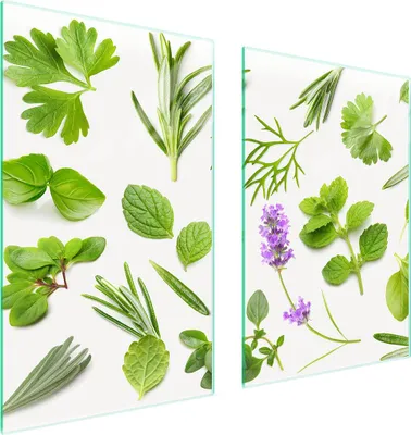 Produktbild von Glasschutzplatte für Küchenpflanzen 65x52