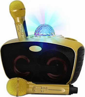 Image de Karaoké pour adultes avec 2 microphones dorés
