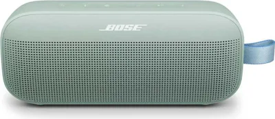 A light green Bose SoundLink Flex speaker with a blue loop on the side, shown against a white background.