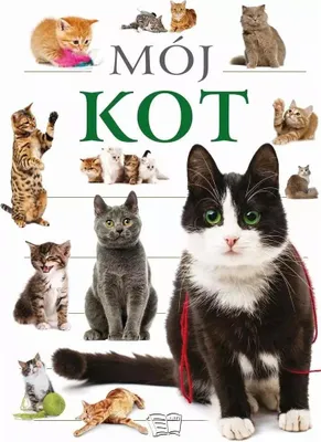 Image de Moj Kot