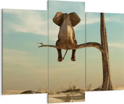 Produktbild von Bild auf Leinwand - Leinwandbild - 3 Teile - Elefant sitzend Ast - 130x100cm - Wand Bild - Wanddeko - Wandbilder - Leinwanddruck - Bilder - Wanddekoration - Leinwand bilder - Wandbild - CB130x100-4557