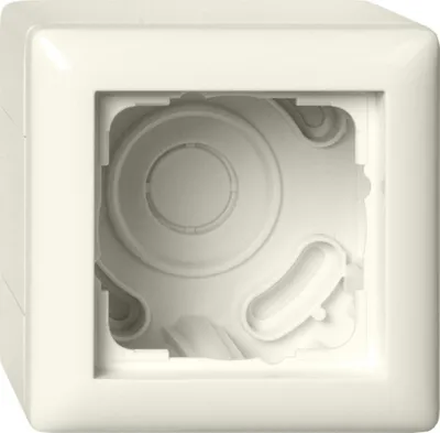 Immagine prodotto di Gira custodia da esterno 1f + telaio Standard 55 Cwhite 106101