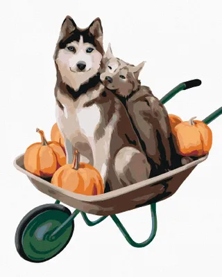Produktbild von Zuty - Malen nach Zahlen - ZWEI HUSKYS AUF RÄDERN, 40x50 cm, mit Keilrahmen (bereits gespannt)