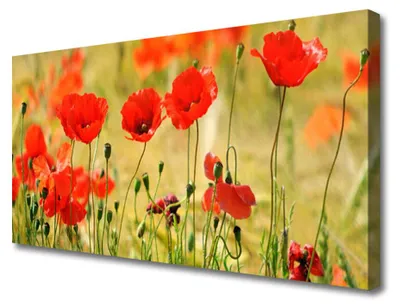 Immagine prodotto di Quadri su tela Tulup, dimensioni 100x50 cm, stampa artistica su tela, motivo: papaveri, natura