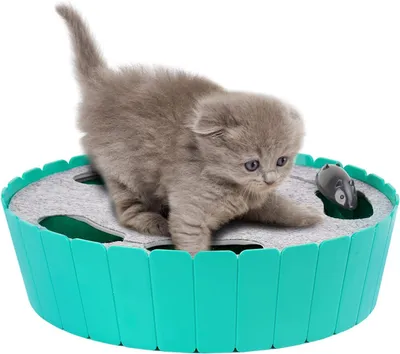 Interaktives Katzenspielzeug mit rennender Maus, Seeblau