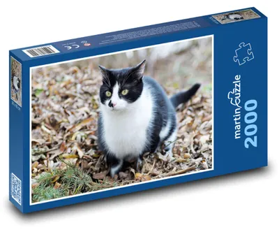 Obrázok produktu pre Puzzle 2000 Jesenná mačka v lístí - martinpuzzle