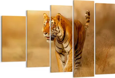 Produktbild von Bild auf Leinwand - Leinwandbild - tiger tier - 150x100cm - Wand Bild - Wanddeko - Wandbilder - Leinwanddruck - Bilder - Kunstdruck - Wanddekoration - Leinwand bilder - Wandkunst - EG150x100-3946