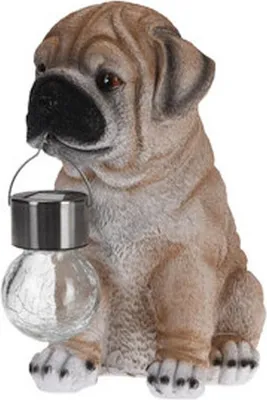 Produktbild von 795201190 Solarfigur Hund farbig sortiert