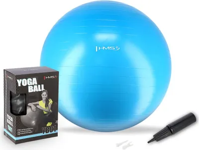 Obrázek produktu pro Gymnastický míč HMS YB01N 75 cm modrý