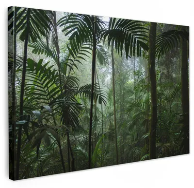 Zdjęcie produktu dla Obraz na płótnie przedstawiający tropikalną dżunglę - 60x40 cm - dekoracja ścienna