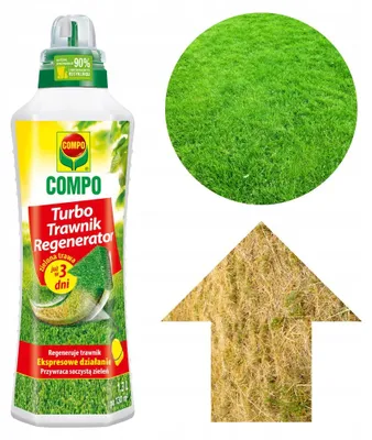 Produktbild von COMPO Rasen-Regenerator Turbo 1,3 l – flüssiger Rasendünger mit Magnesium und Eisen zum Sprühen
