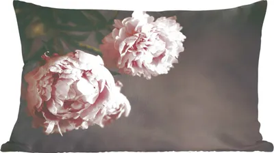 Produktbild von MuchoWow® Zierkissen Sofakissen Wohnzimmer Dekokissen 60x40 cm Blumen - Rosa - Pfingstrose - Stilleben - Kopfkissen - Polster mit Foto
