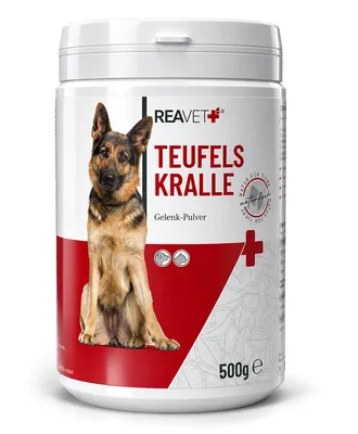 Produktbild von REAVET Afrikanische Teufelskralle für Hunde & Katzen 500g - Teufelskrallen Pulver für Sehnen & Bänder, Gelenkpulver zur Unterstützung der Beweglichkeit & Gelenkfunktion