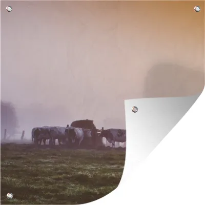 Produktbild von MuchoWow®