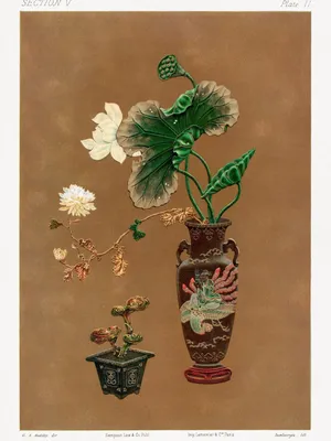 Produktbild von Poster 60x80cm Blumen im Vase, G.A. Audsley Vintage für das Wohnzimmer