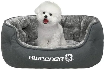 Produktbild von Kleines Hundekissen - Wasbares, weiches Kätzchenbett - Hundemöbel für kleine Hunde mit Rutschfestschutz - Graues Kätzchenbett für Schlafen und Knuddeln