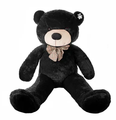 A large black teddy bear is sitting on a white background.
