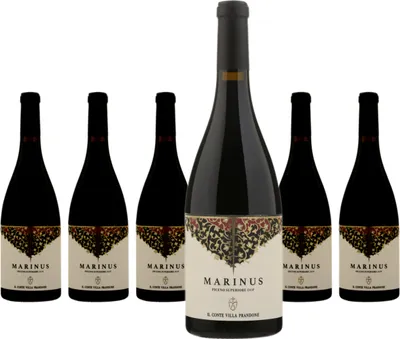 Produktbild von 6 x Il Conte Villa Prandone Marinus Rosso Piceno Superiore