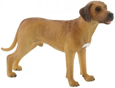 Obrázek produktu pro Bullyland 65442 pes DOG Nelson 8cm