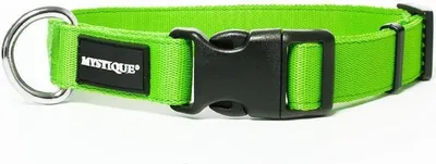 Produktbild von Mystique® Nylon Halsband Profi 25mm neongrün 55-65cm