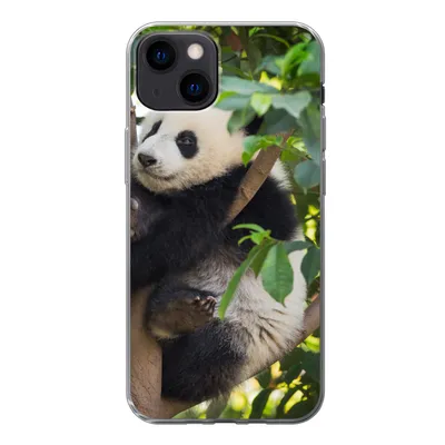 Produktbild von MuchoWow® Handyhülle Schutzhülle Hülle für iPhone 13 Panda - Tier - Baum Silikon Softcase Handy Hülle - Karteninhaber