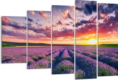 Produktbild von Bild auf Leinwand - Leinwandbild - Lavendel Berge Feld - 150x100cm - Wand Bild - Wanddeko - Leinwanddruck - Bilder - Kunstdruck - Wanddekoration - Leinwand bilder - Wandkunst - EG150x100-3816