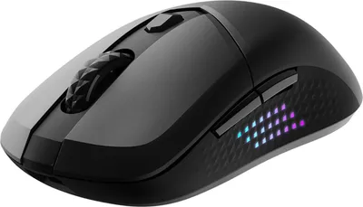 Obrázek produktu pro MSI VERSA 300 ELITE WIRELESS, Pro praváky, Optický, RF Wireless + Bluetooth + USB Type-C, 26000 DPI, 1 ms, Černá