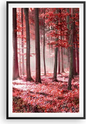 Produktbild von Gerahmtes Poster - Schwarzer Rahmen - Wald Rot Bäume - 61x91,5 cm - Wand Bild - Wanddeko - Wandbilder - Kunstposter - Wandposter - Bilderrahmen - Bilder - Kunstdruck - Wanddekoration - P2BPA61x91-4944