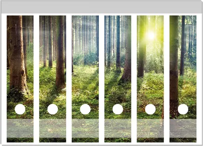 Produktbild von Wallario Ordnerrücken Sticker, selbstklebend für breite Ordner, 6 Stück, Motiv Sonnenuntergang im Wald zwischen den Bäumen