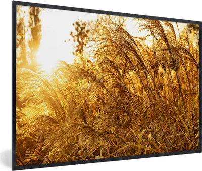 Produktbild von MuchoWow® Gerahmtes Poster Pampasgras - Sonne - Gras 90x60 cm - Poster mit Schwarzem Bilderrahmen Wandposter Rahmen Foto Bilder - Fotorahmen - Foto-Plakat