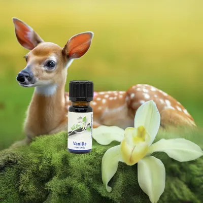 Produktbild von Vanille Duftöl – Beruhigender & süßer Raumduft für Diffuser, 10 ml