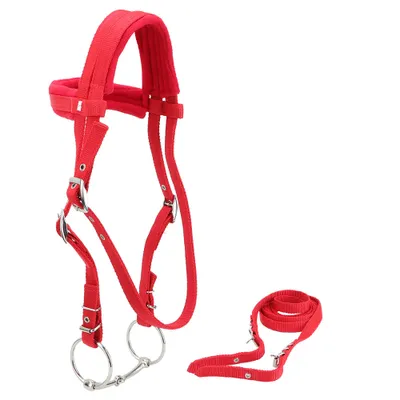 Image de Bridon pour chevaux,Rênes pour chevaux,Harnais pour chevaux,Bridon réglable pour chevaux