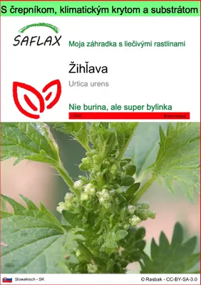 Obrázok produktu pre SAFLAX Garden to go - žihľava - Urtica urens - 150 Semená - S črepníkom, klimatickým vekom a pestovateľským substrátom