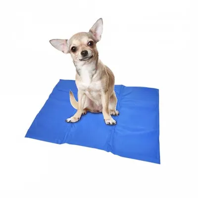 Obrázek produktu pro DUVO+ Chladící podložka pro psy 50x65cm, 65213145