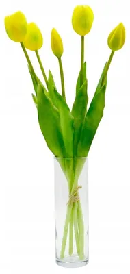 Obrázok produktu pre Umelé tulipány Silikónová kytica 5 kusov Realistická dekorácia do vázy