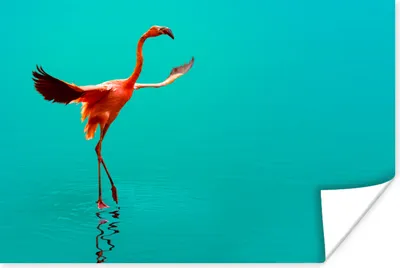 Produktbild von MuchoWow® Poster Flamingo im blauen Meer 60x40 cm - Schlafzimmerdekoration